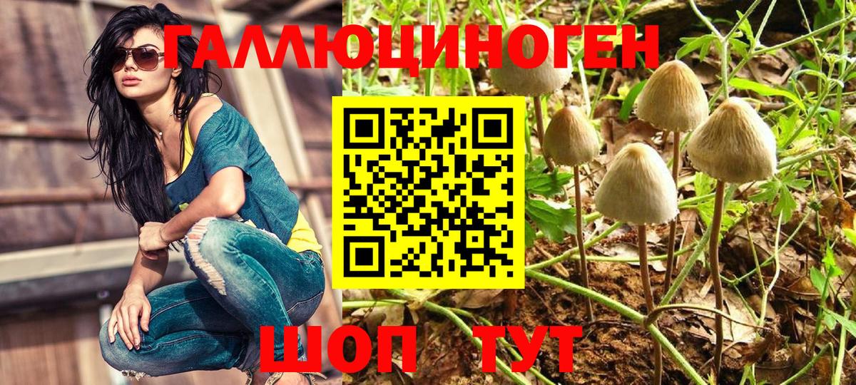 Псилоцибиновые грибы Psilocybine cubensis  Галлюциногенные грибы Psilocybine cubensis  Курчатов  Вход с VPN 